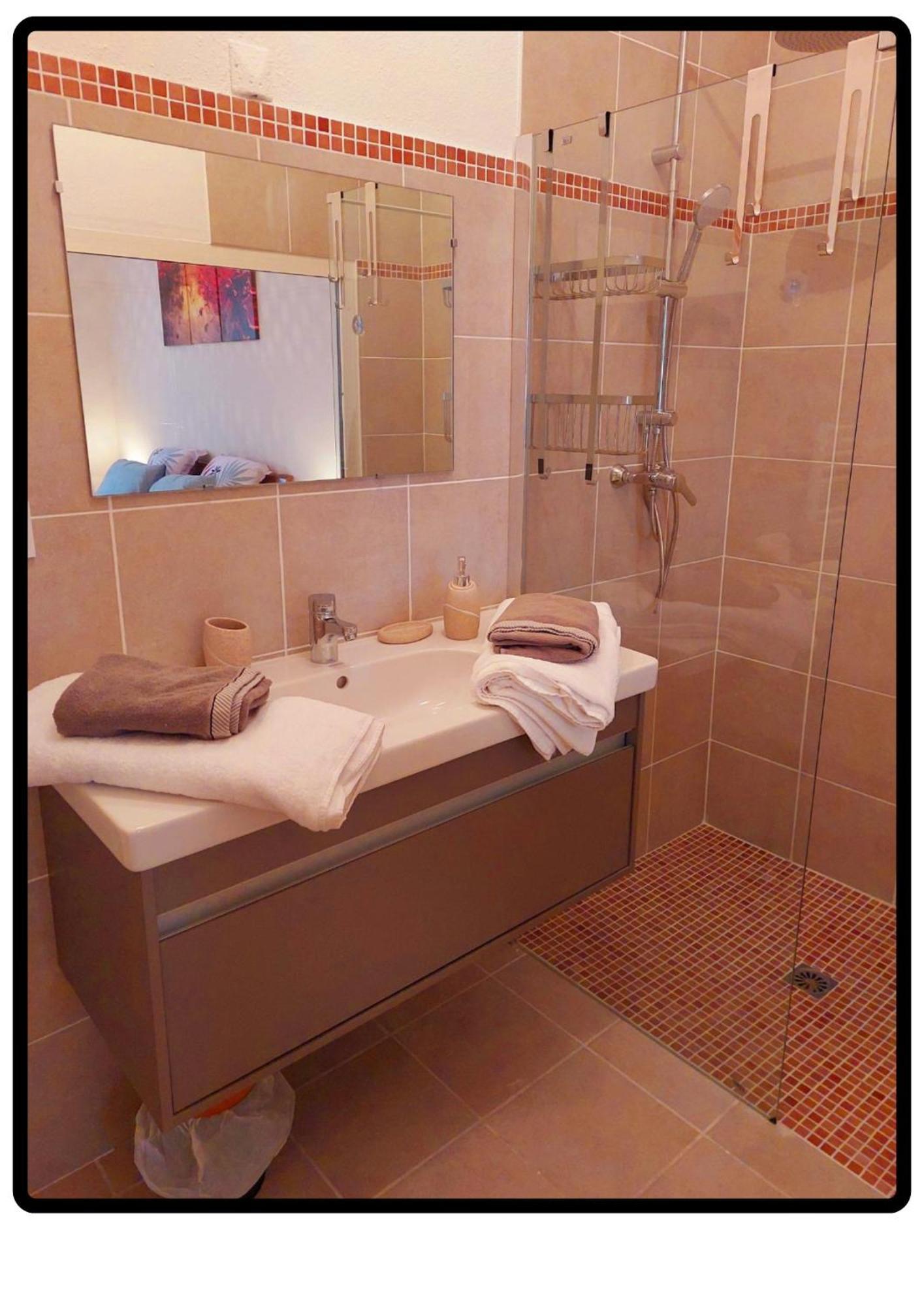 Appartement Roussillon Roussillon en Isere المظهر الخارجي الصورة